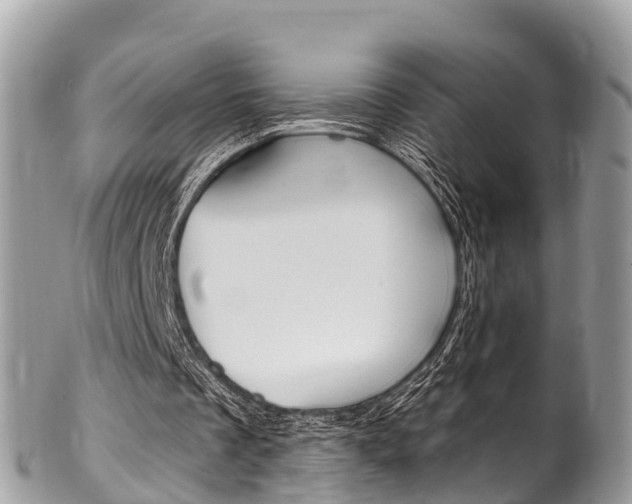 X0000102790289200808181000