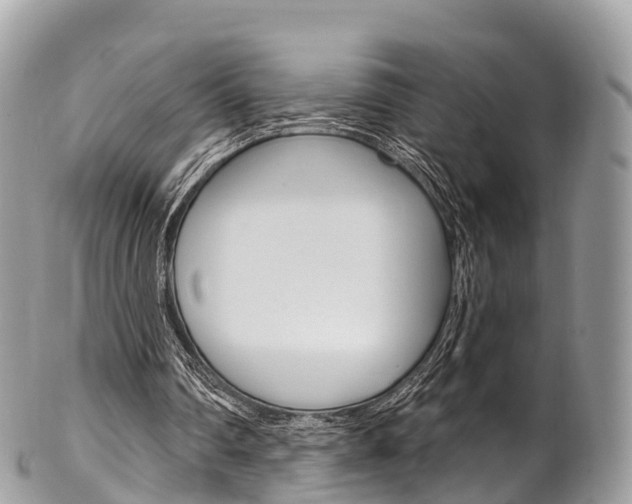 X0000102790290200808181000