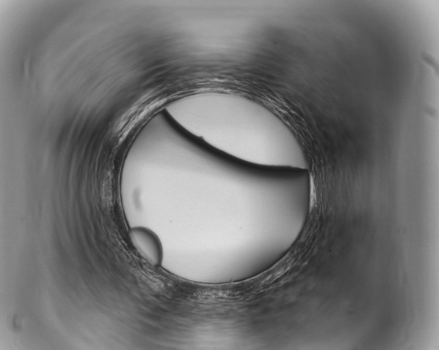 X0000102790291200808181000