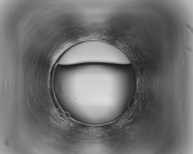 X0000102790292200808181000