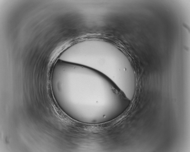 X0000102790293200808181000