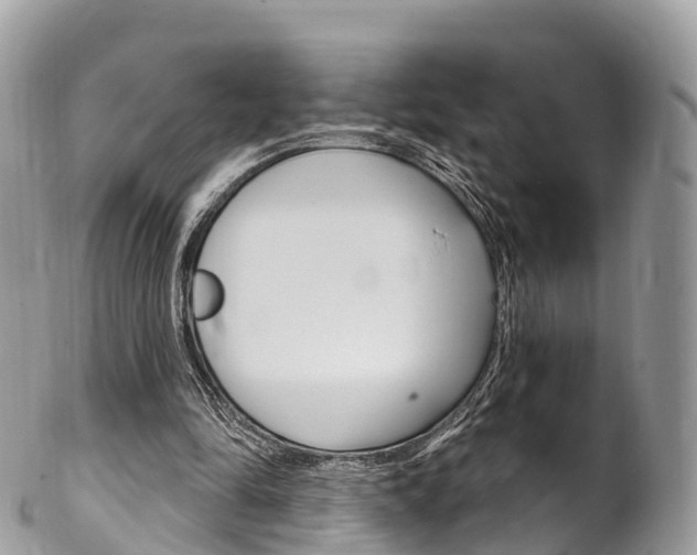 X0000102790294200808181000