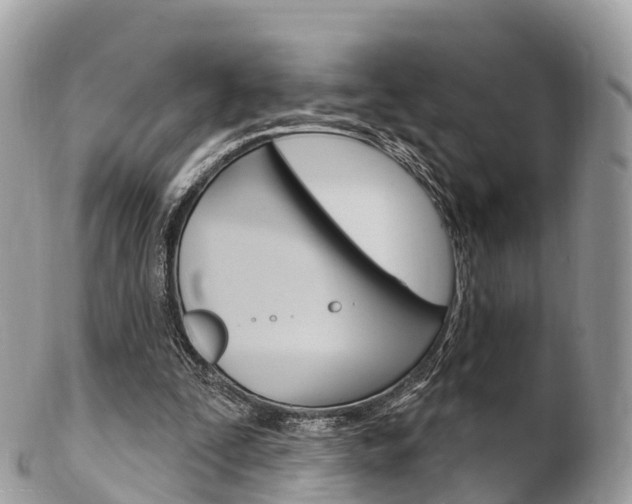 X0000102790295200808181000