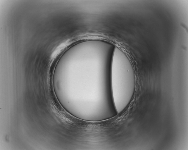 X0000102790296200808181000