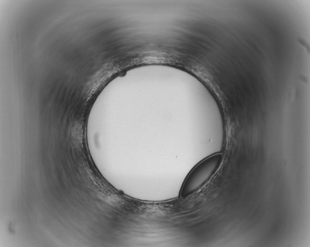 X0000102790297200808181000