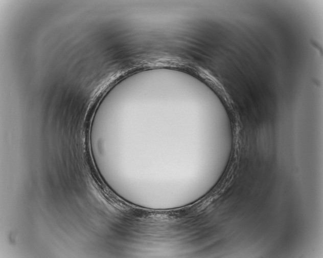 X0000102790298200808181000
