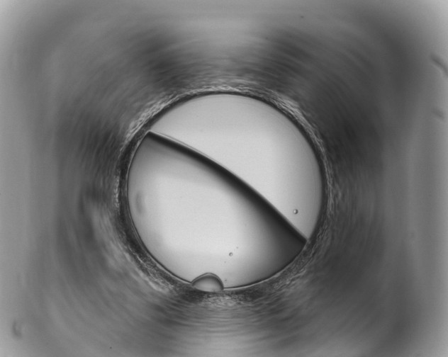 X0000102790299200808180959