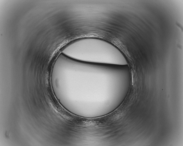 X0000102790300200808180959