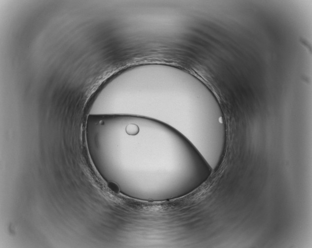 X0000102790301200808180959