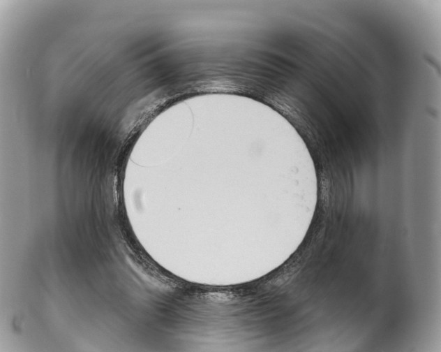 X0000102790302200808180959
