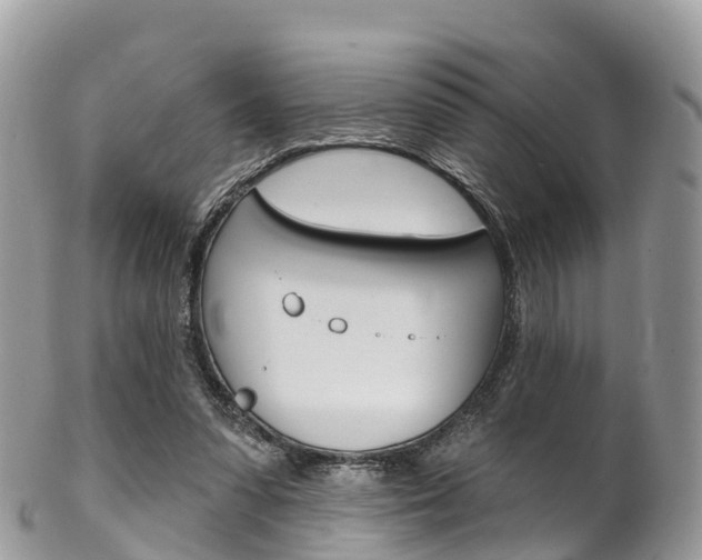 X0000102790303200808180959