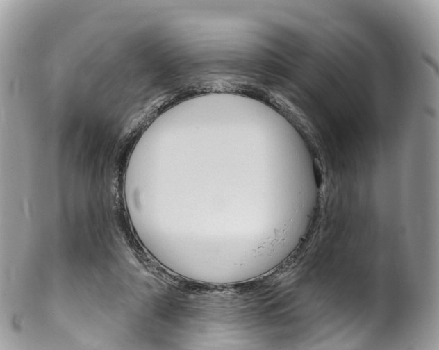 X0000102790306200808180959