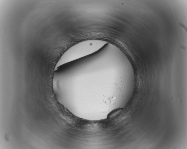 X0000102790307200808180959