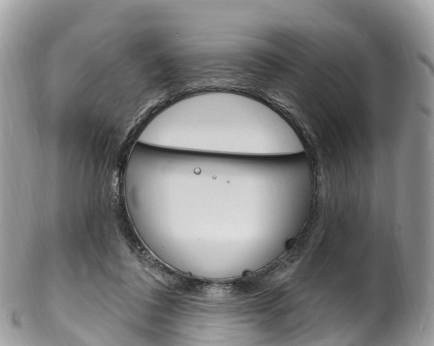 X0000102790308200808180959