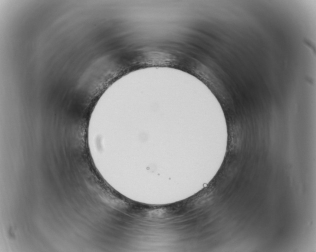 X0000102790309200808180959