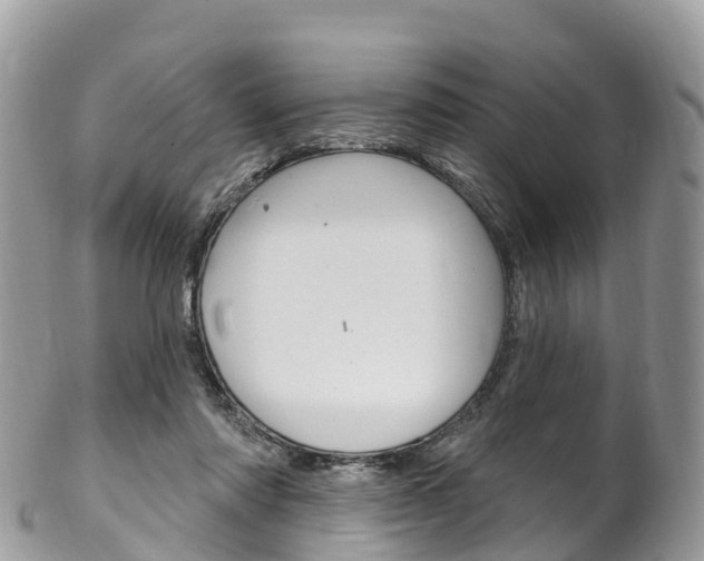 X0000102790310200808180959