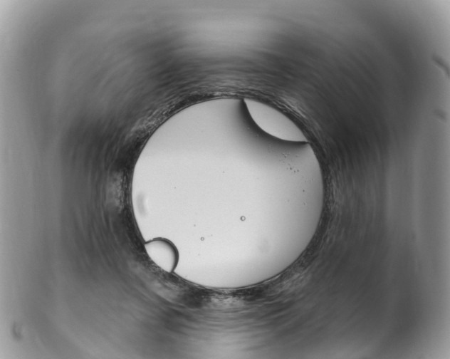 X0000102790311200808180959