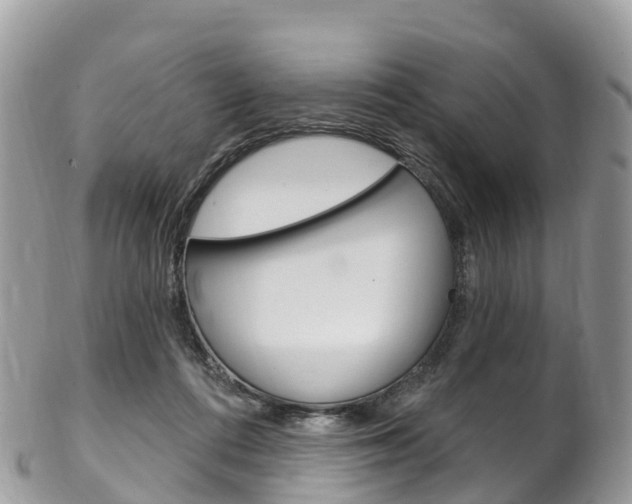 X0000102790312200808180959