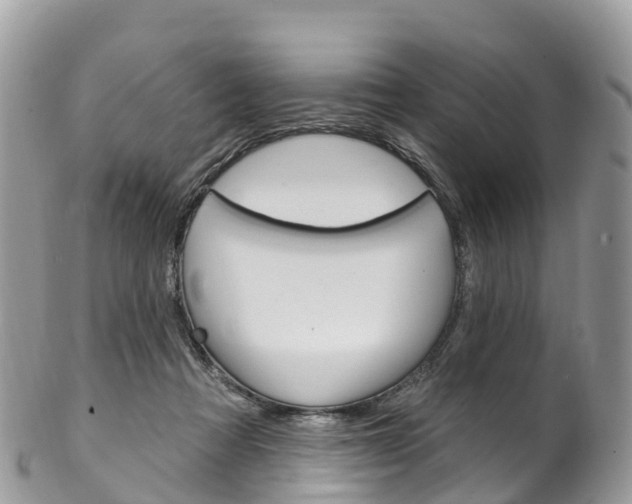 X0000102790313200808180959