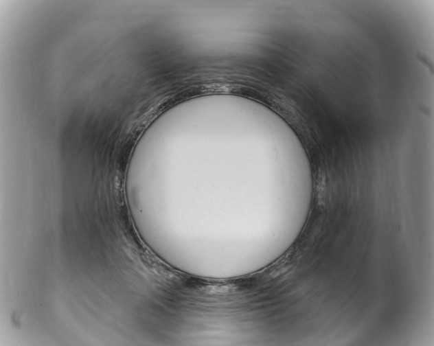X0000102790314200808180959