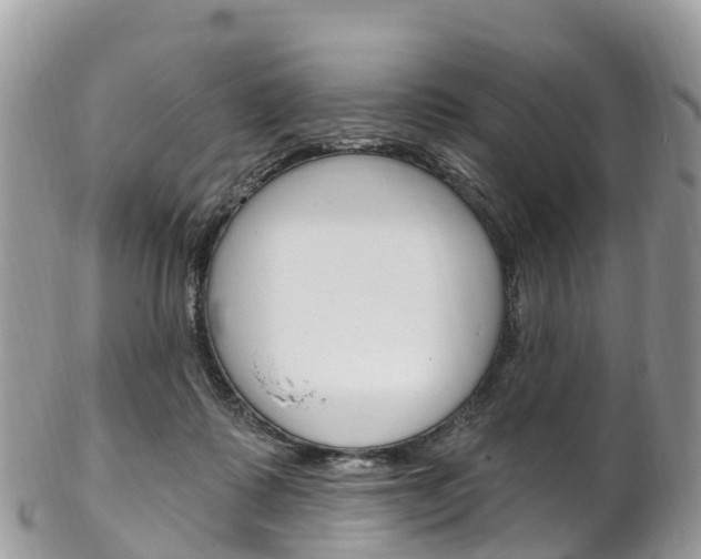 X0000102790315200808180959