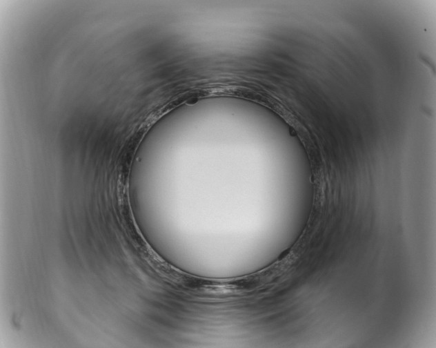 X0000102790316200808180959