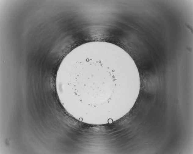 X0000102790317200808180959