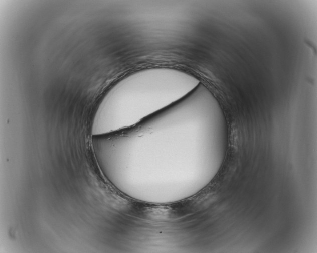 X0000102790318200808180959