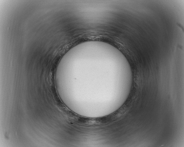 X0000102790319200808180959