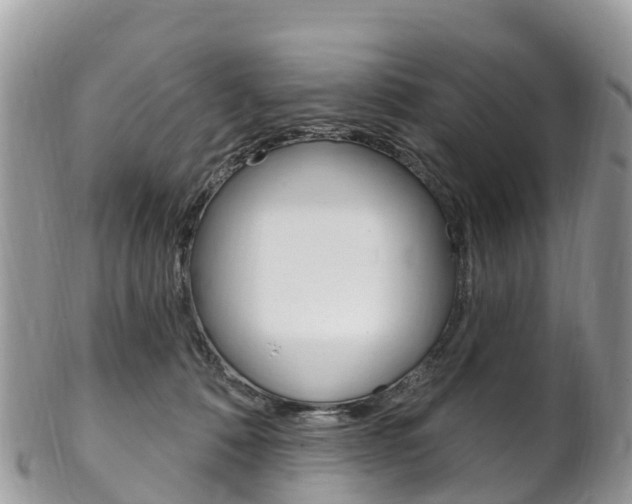 X0000102790320200808180959