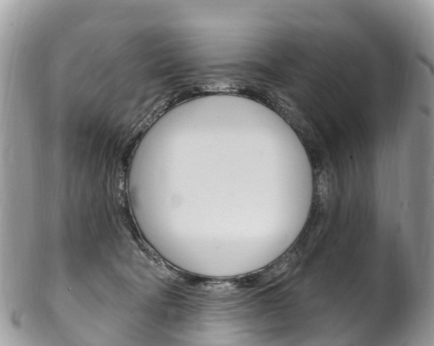 X0000102790322200808180959