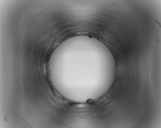 X0000102790323200808180959