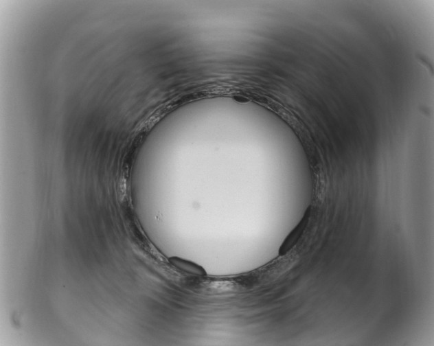 X0000102790324200808180959
