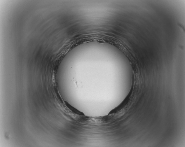 X0000102790328200808180959