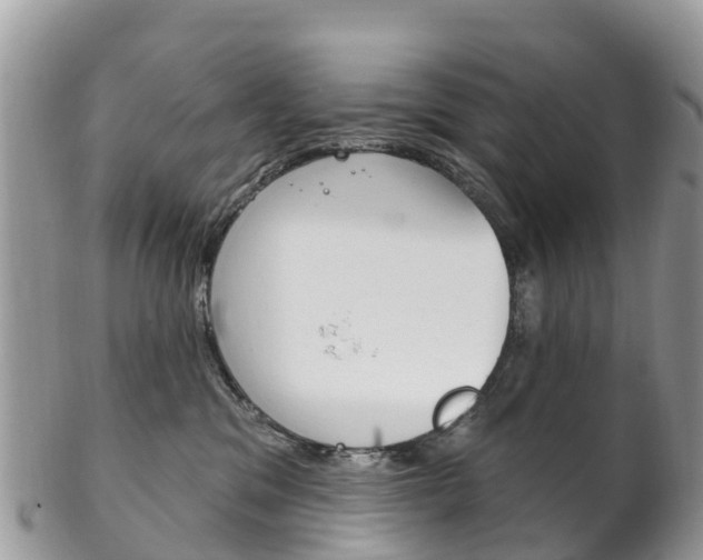 X0000102790329200808180959