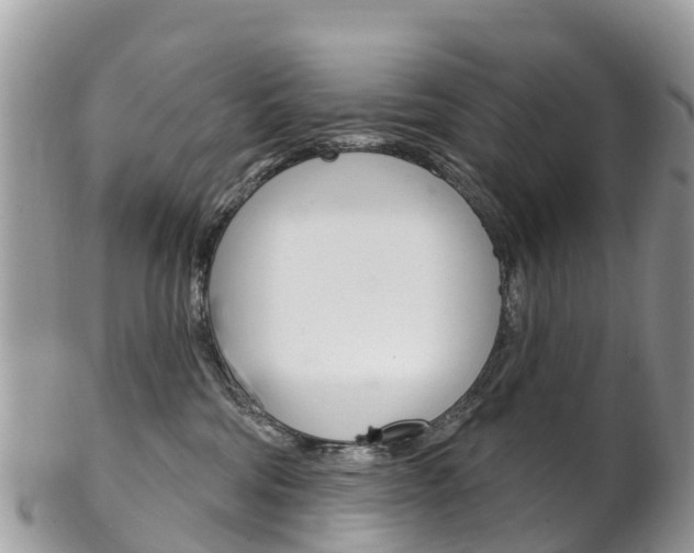X0000102790330200808180959