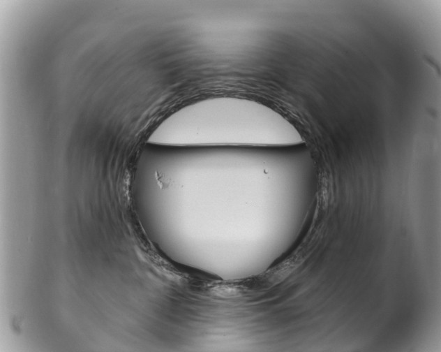 X0000102790332200808180959