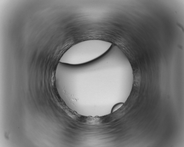 X0000102790334200808180959