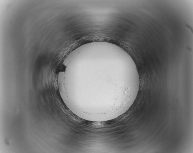 X0000102790335200808180959