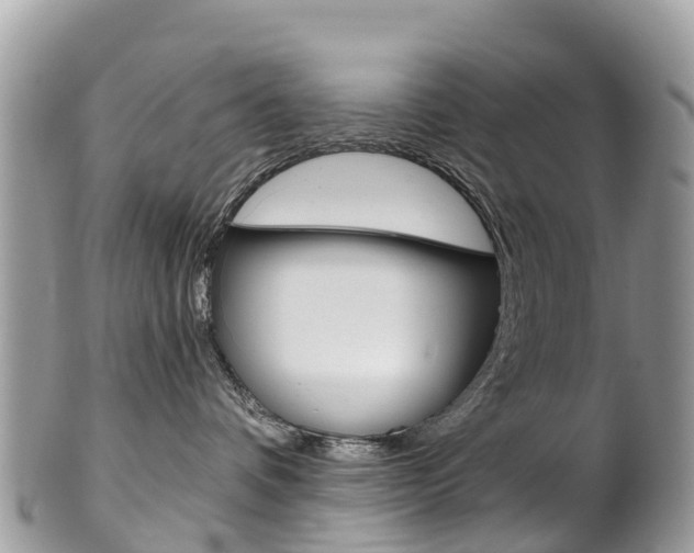 X0000102790336200808180959