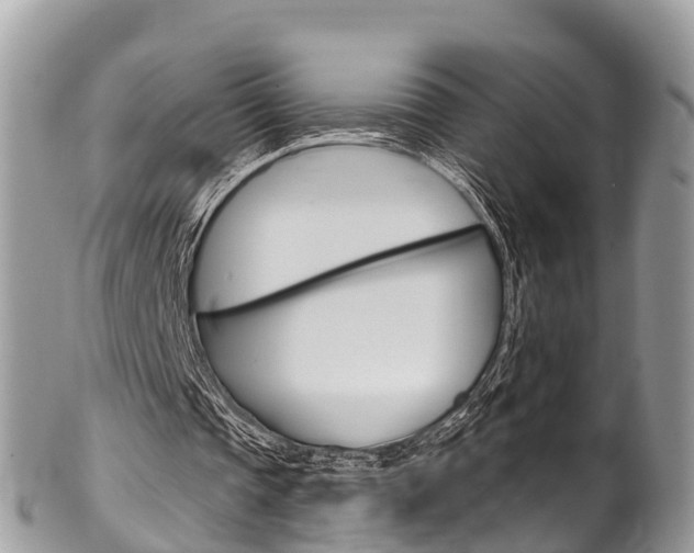 X0000102790337200808180958