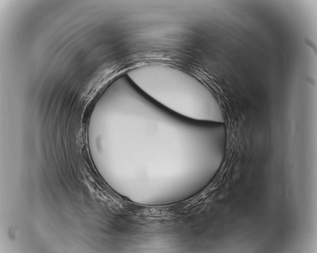 X0000102790338200808180958