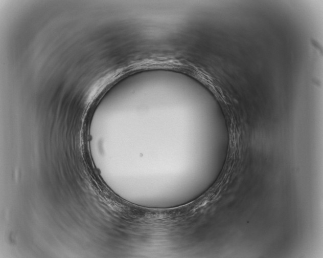 X0000102790340200808180958