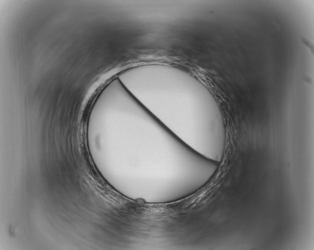 X0000102790342200808180958