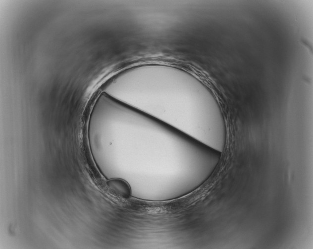 X0000102790344200808180958
