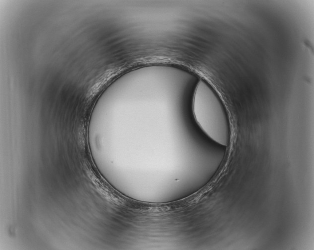 X0000102790345200808180958