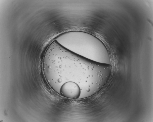 X0000102790346200808180958