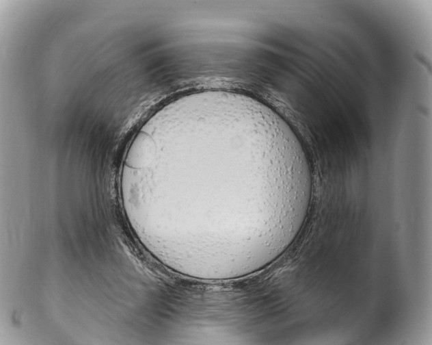 X0000102790347200808180958