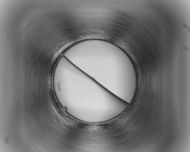 X0000102790348200808180958