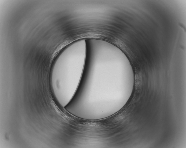 X0000102790349200808180958